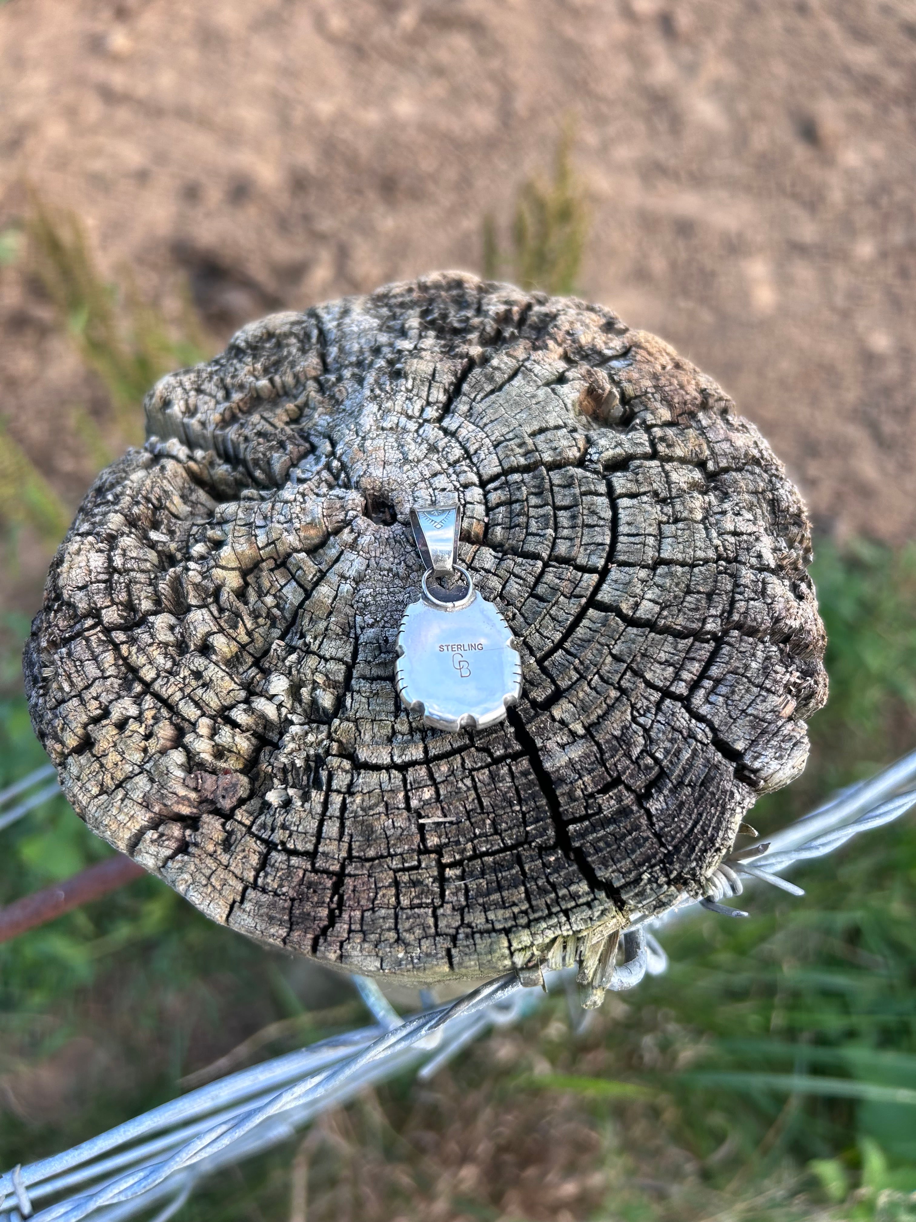 Natural fox turquoise shadowbox pendant