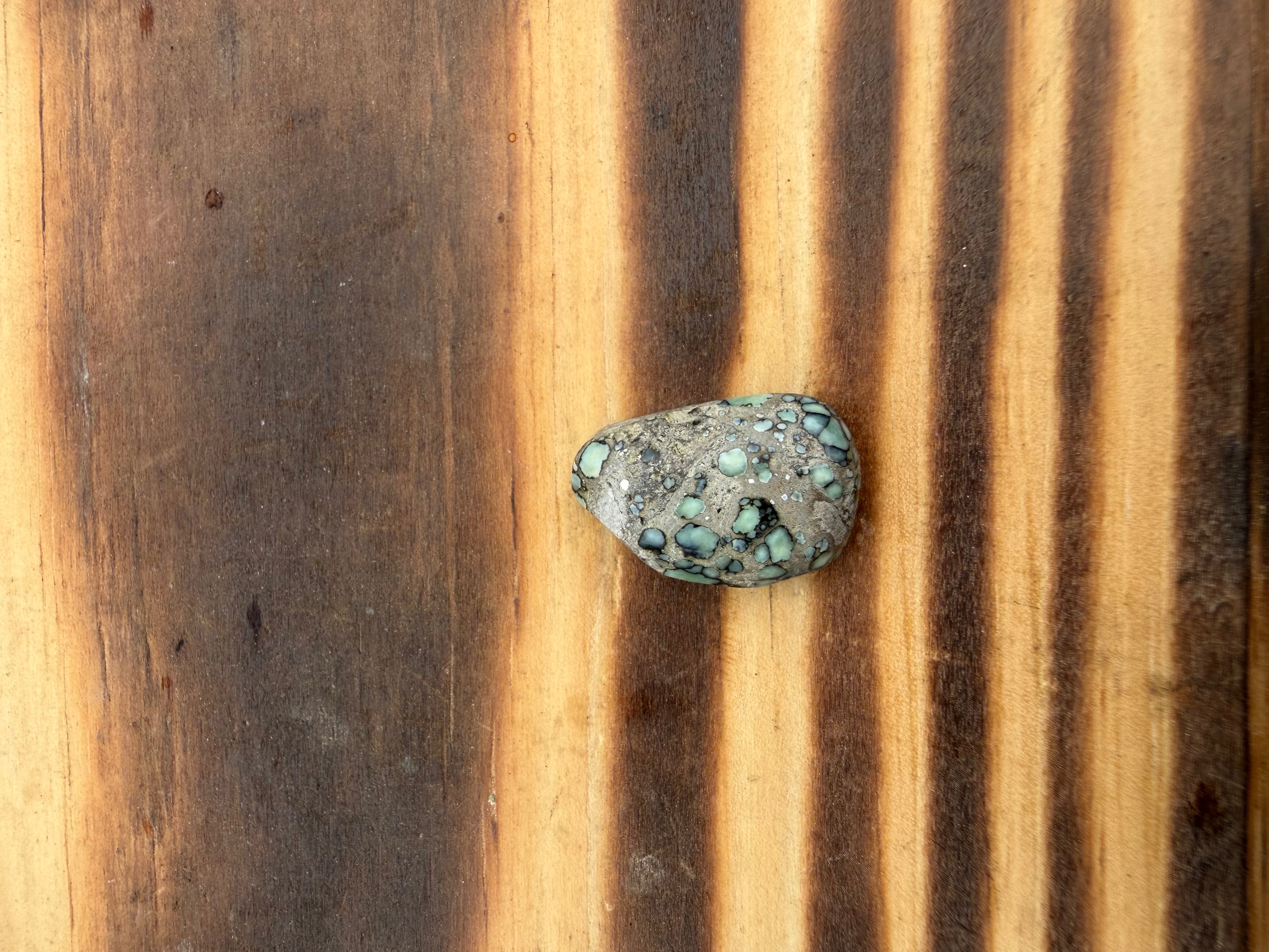 Custom- Oura Ring Covers